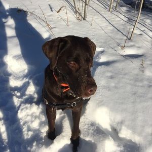 Meet your Posher, Olivia